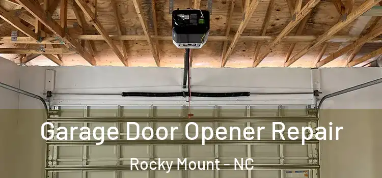  Garage Door Opener Repair Rocky Mount - NC